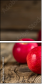 71848225