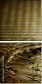 73056406
