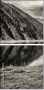 73210814