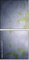 75640772