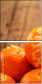 76269505