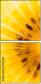 78671231