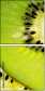 79048317