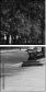 8421281