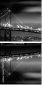 98976807