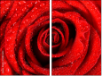 112923652