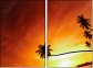 20708520