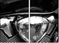 23943904
