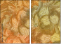 265907570