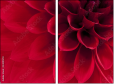 33891278