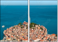37043331