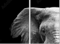 46583459