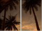 4823952