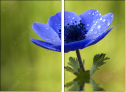 6756687