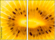 78671231