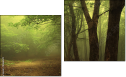 Diptych - Two-piece canvas