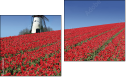 Diptych - Two-piece canvas