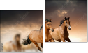 Diptych - Two-piece canvas