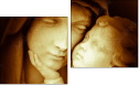 Diptych - Two-piece canvas
