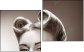 Diptych - Two-piece canvas