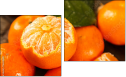 Diptych - Two-piece canvas