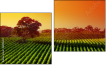 Diptych - Two-piece canvas