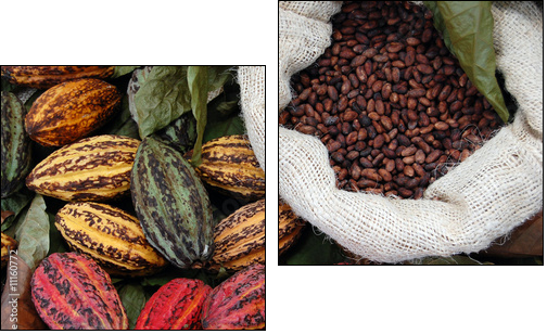 Cocoa - Two-piece canvas, Diptych