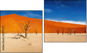 Namib Desert, Sossusvlei, Namibia - Two-piece canvas, Diptych