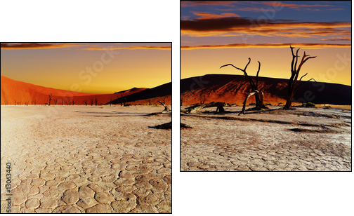 Namib Desert, Sossusvlei, Namibia - Two-piece canvas, Diptych