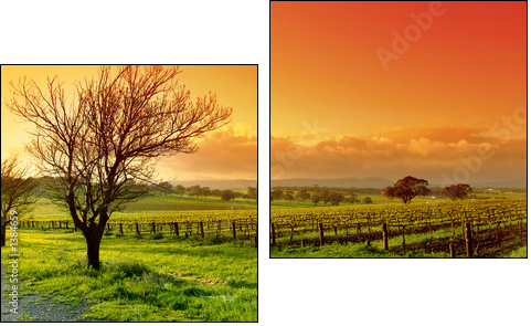 vineyard landscape - Two-piece canvas, Diptych