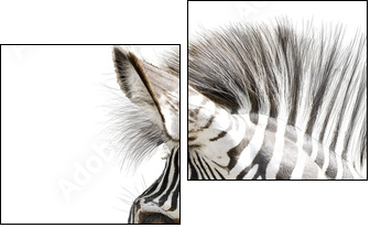 Zebra 001 - Two-piece canvas, Diptych