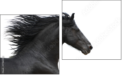 Portrait of galloping frisian horse on white background - Two-piece canvas, Diptych
