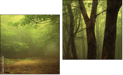 Green forest with fog - Two-piece canvas, Diptych