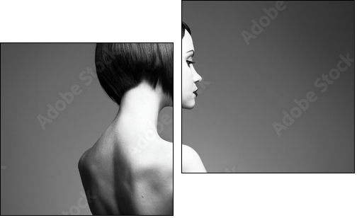 Elegant lady with stylish hairstyle - Two-piece canvas, Diptych
