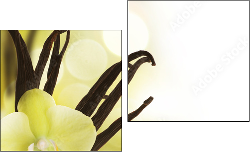 Beautiful Vanilla beans and flower over blurred background - Two-piece canvas, Diptych