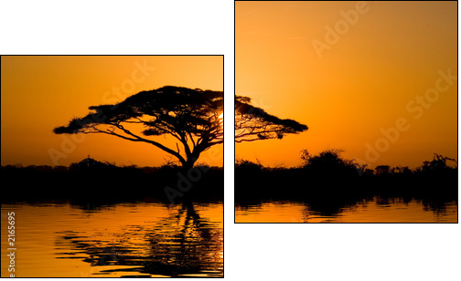 acacia tree at sunrise - Two-piece canvas, Diptych