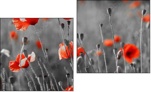 red poppies on  field - Two-piece canvas, Diptych