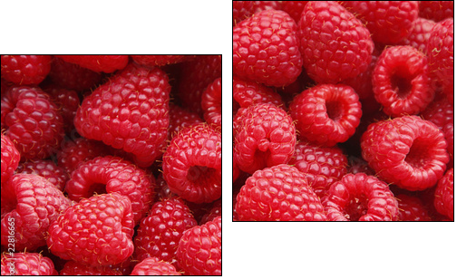 Sweet raspberry - Two-piece canvas, Diptych