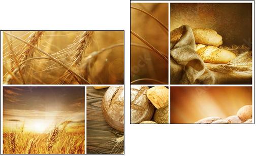 Wheat Collage.Harvest concepts - Two-piece canvas, Diptych