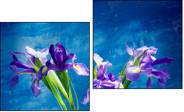 irises - Two-piece canvas, Diptych