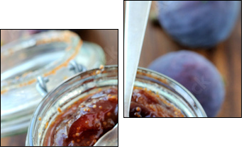 Fig jam - Two-piece canvas, Diptych