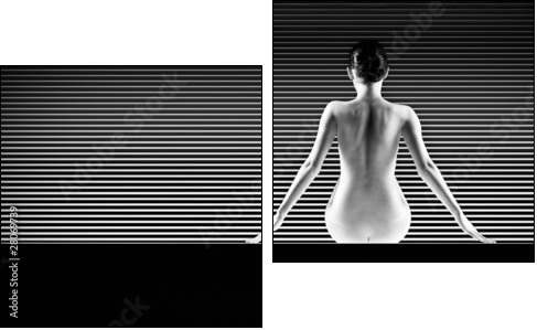 black and white artistic nude; a back silhouette shot on striped - Two-piece canvas, Diptych