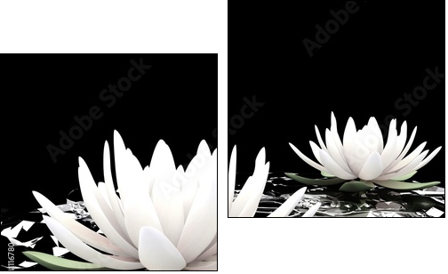 3d lotus on water - Two-piece canvas, Diptych