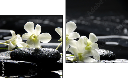 Zen stones and white orchids with reflection - Two-piece canvas, Diptych