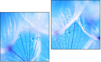 Soft dandelion flowers - Two-piece canvas, Diptych