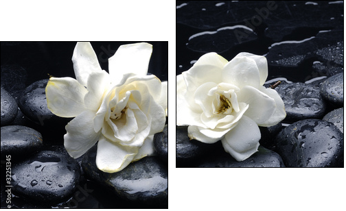 Spa still life with gardenia flower on pebble - Two-piece canvas, Diptych