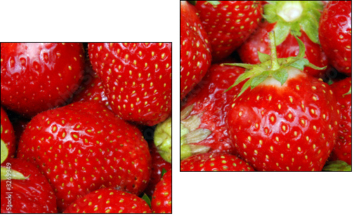 erdbeeren - Two-piece canvas, Diptych