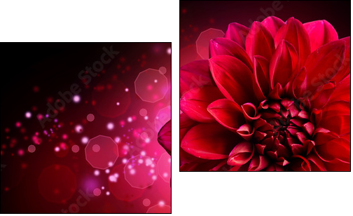 Dahlia Autumn flower design - Two-piece canvas, Diptych