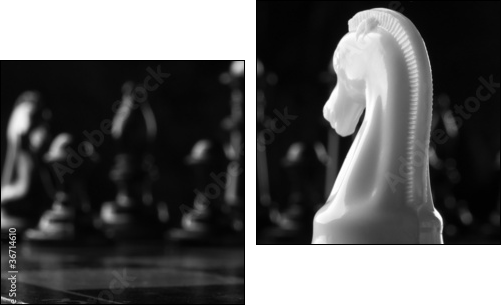 white knight chess piece - Two-piece canvas, Diptych