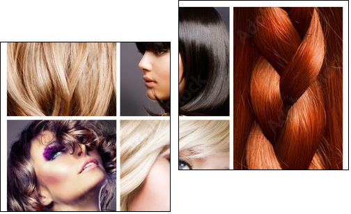 Hair Collage. Hairstyles - Two-piece canvas, Diptych